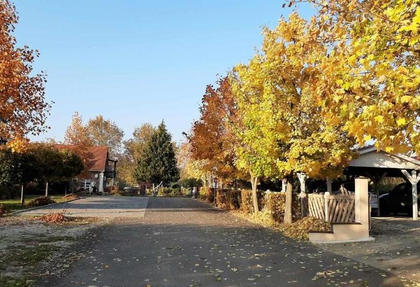 住宿加早餐 Hartmann Panzió