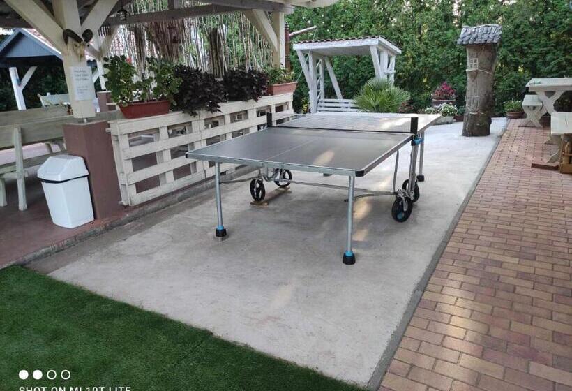 住宿加早餐 Hartmann Panzió