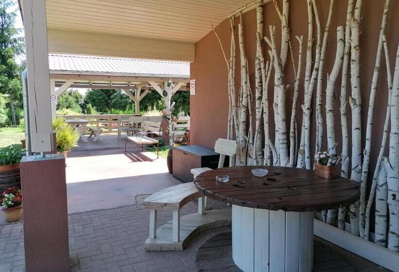 住宿加早餐 Hartmann Panzió