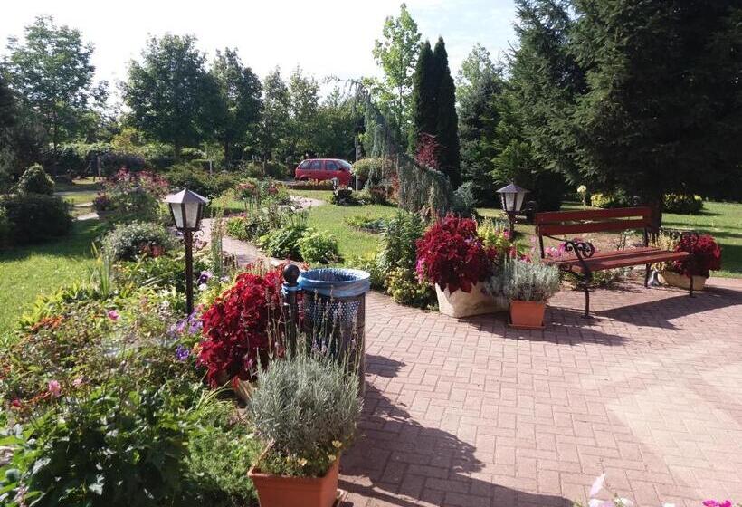 住宿加早餐 Hartmann Panzió