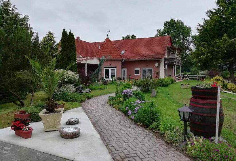 住宿加早餐 Hartmann Panzió