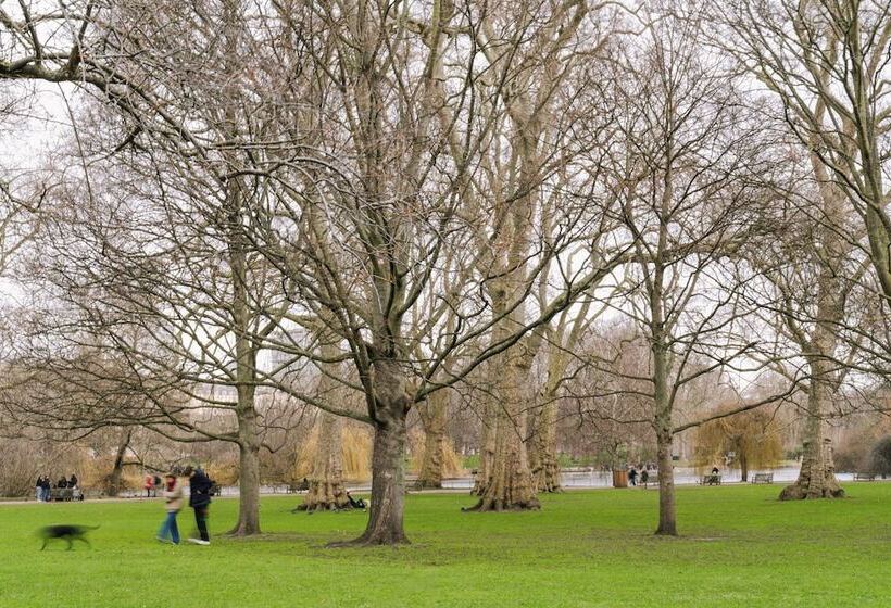 Sonder The Arts Council