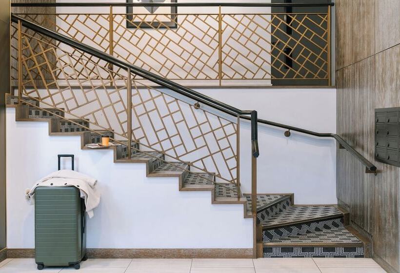 Sonder The Arts Council