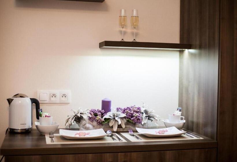 ペンション Penzion Olomouc