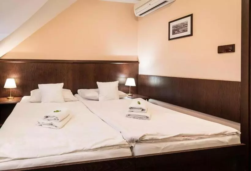 Hotelli U Hejtmana šarovce