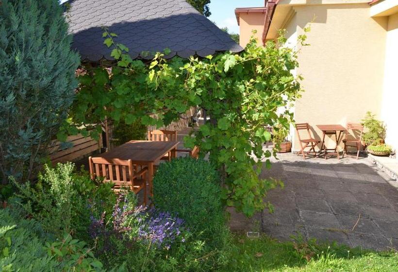 פנסיון Penzion Ostravanka