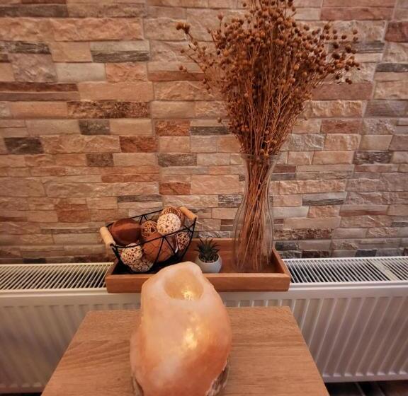 פנסיון Penzion Ostravanka