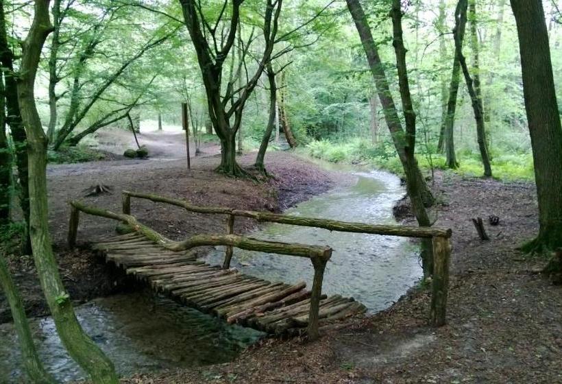 فندق Albergo Sole