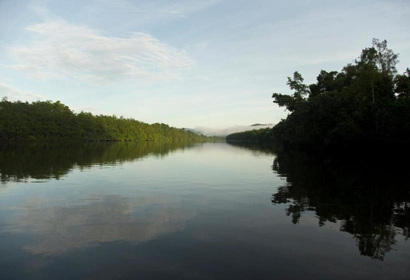 בית מלון כפרי Daintree Village Hideaway