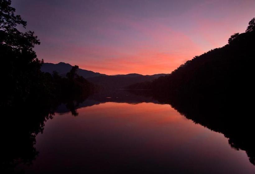 בית מלון כפרי Daintree Village Hideaway