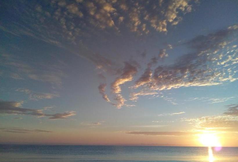 בית מלון כפרי Daintree Village Hideaway