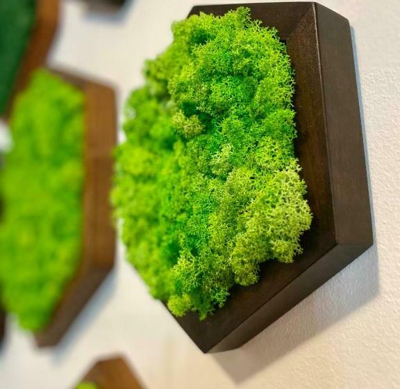 Отель Alfaresort Thermal Chiflika