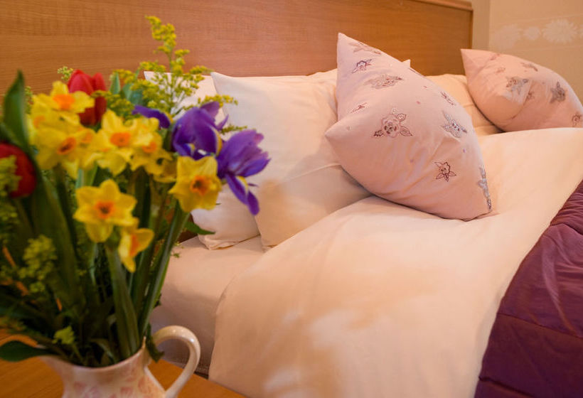 ホテル Coila Guest House