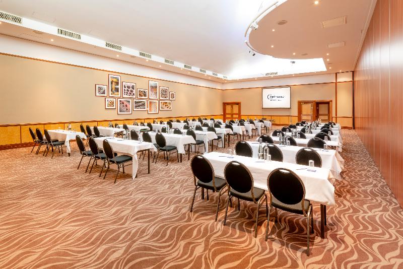 Copthorne Hotel Merry Hill Dudley