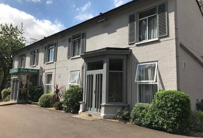 فندق Firs