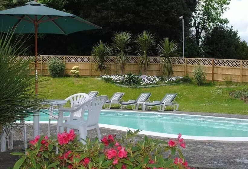 Отель The Belmont