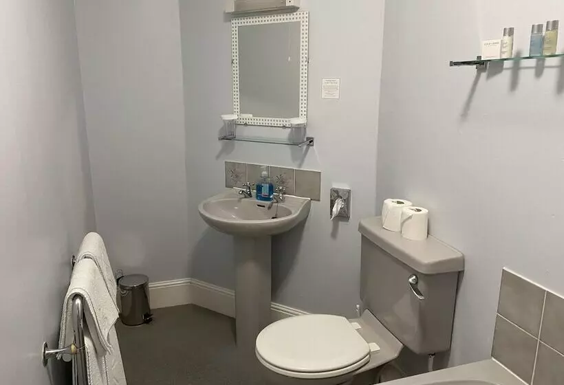 Отель The Belmont