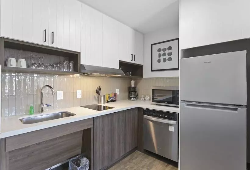 Hotelli Staybridge Suites   Atlanta Ne   Duluth, An Ihg