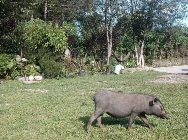 Pensionat Big Dipper Sagada