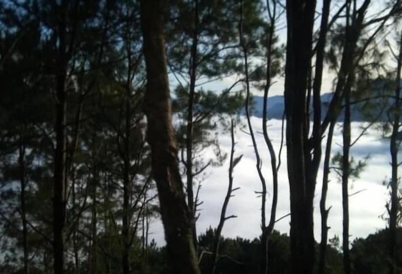 Pensionat Big Dipper Sagada