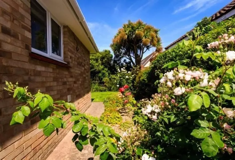 Croyde Nauwai 2 Bedrooms