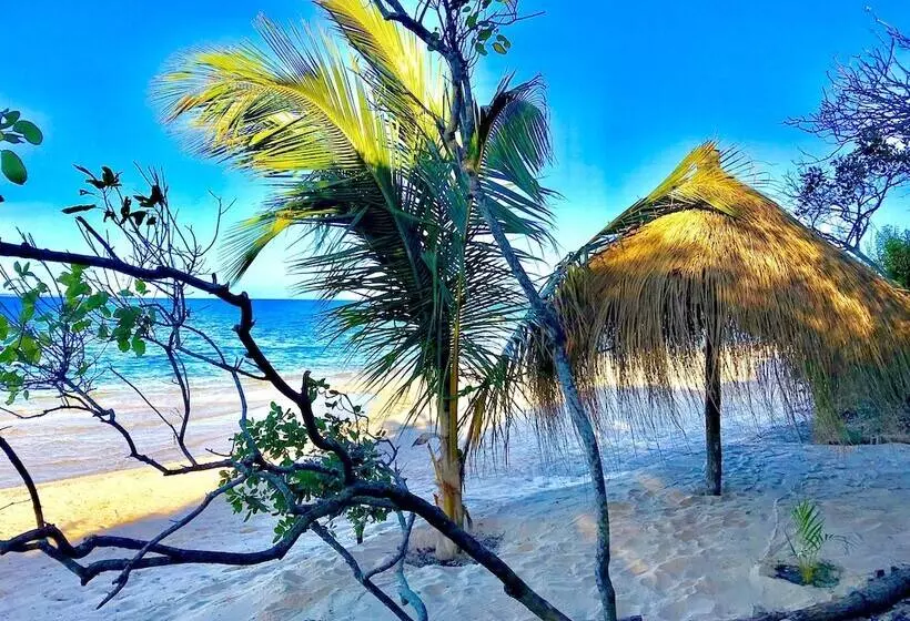 ホテル Eden Bay Eco Lodge