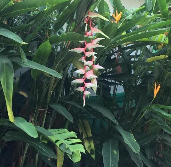 酒店 Pakmeng Guesthouse