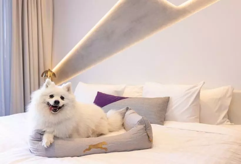 Hotelli X Brisbane Fortitude Vly, Vignette Collection   An Ihg