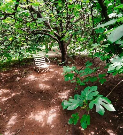 Hostelli Posada Del Poeta