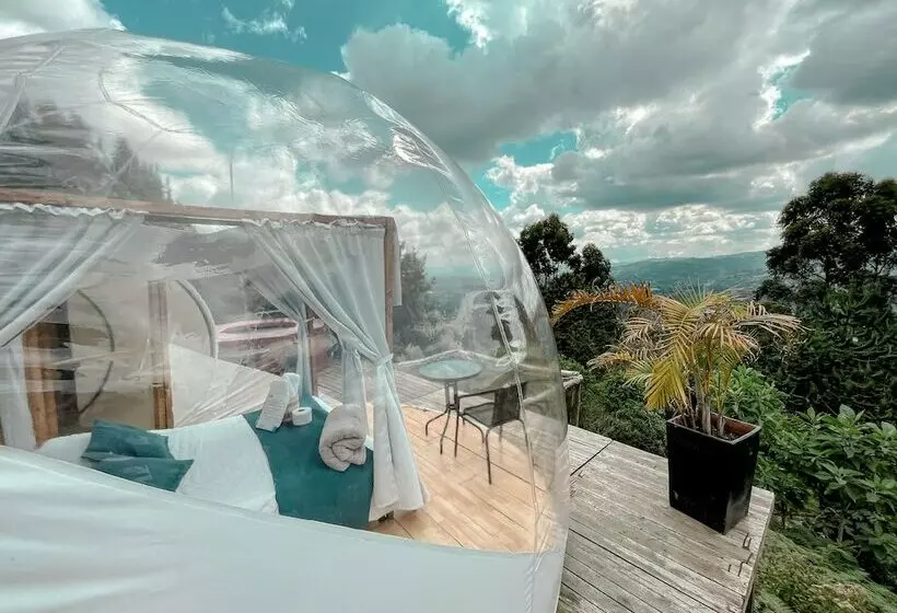 ホテル Glamho Resort  Glamping