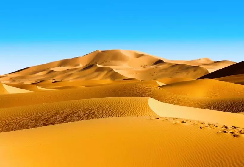 Hotelli Sahara Royal Camp