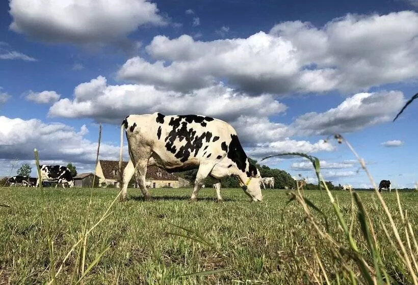ペンション Chambre D Hôtes La Ferme De La Croix