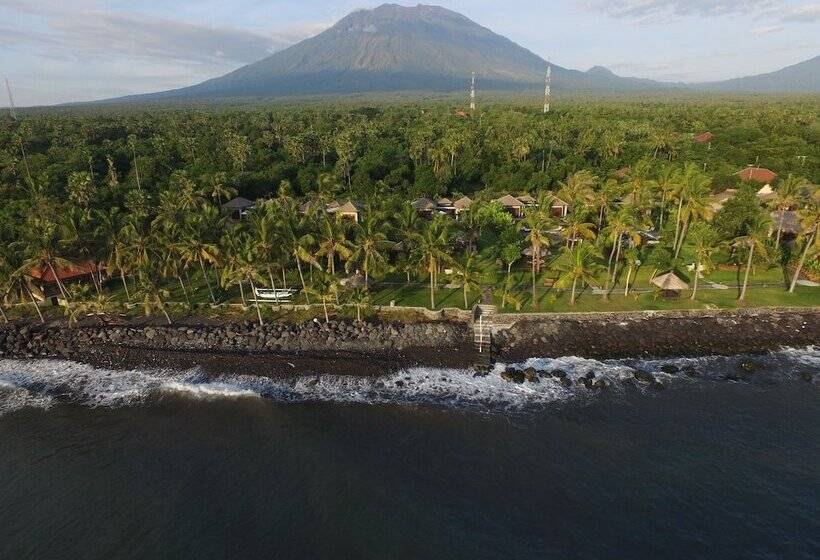 ホテル Relax Bali Dive & Spa Ocean Front Resort