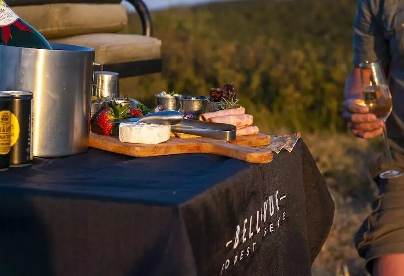 ホテル Stargazer Camp  Bellevue Forest Reserve