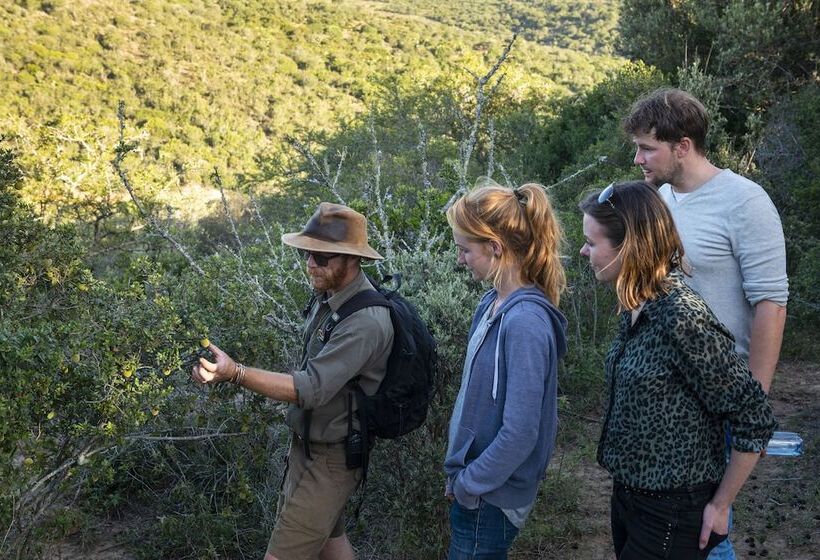 هتل Stargazer Camp Bellevue Forest Reserve