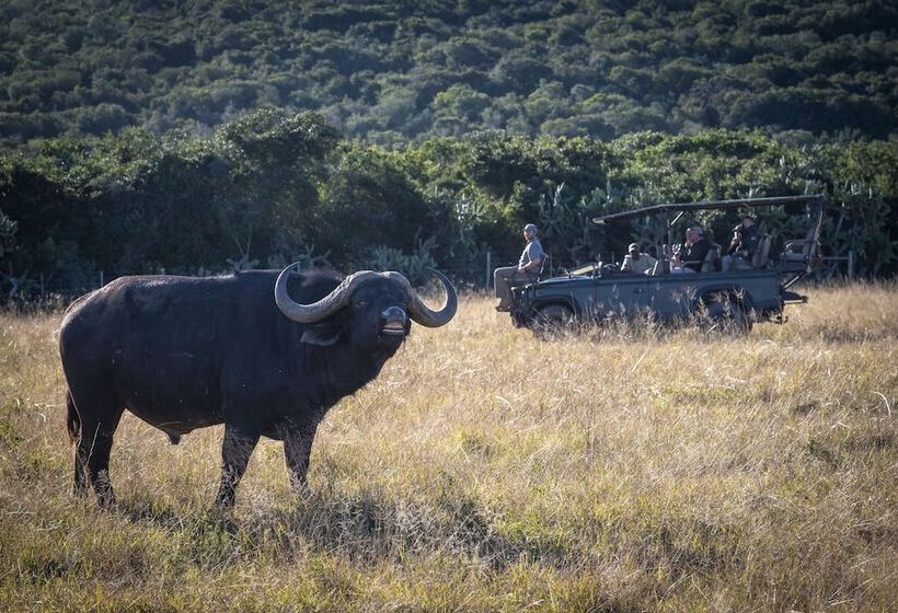 هتل Stargazer Camp Bellevue Forest Reserve