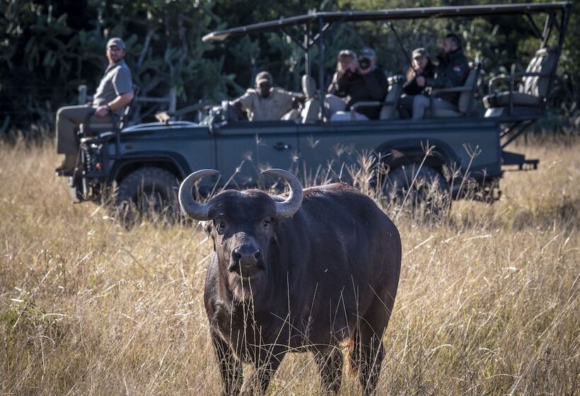 هتل Stargazer Camp Bellevue Forest Reserve