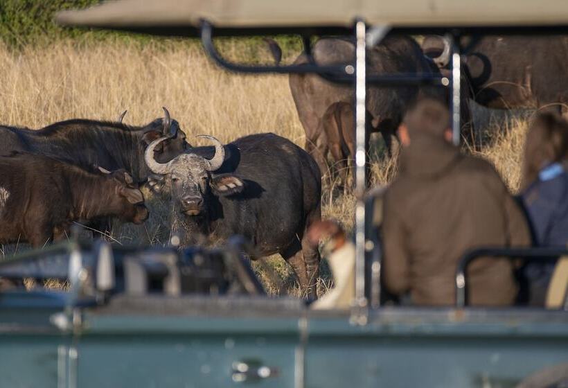 هتل Stargazer Camp Bellevue Forest Reserve