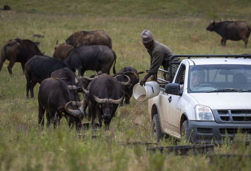 هتل Stargazer Camp Bellevue Forest Reserve