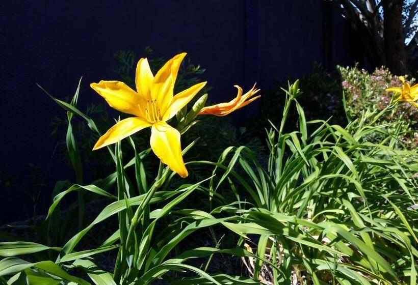 Karuah Gardens Motel