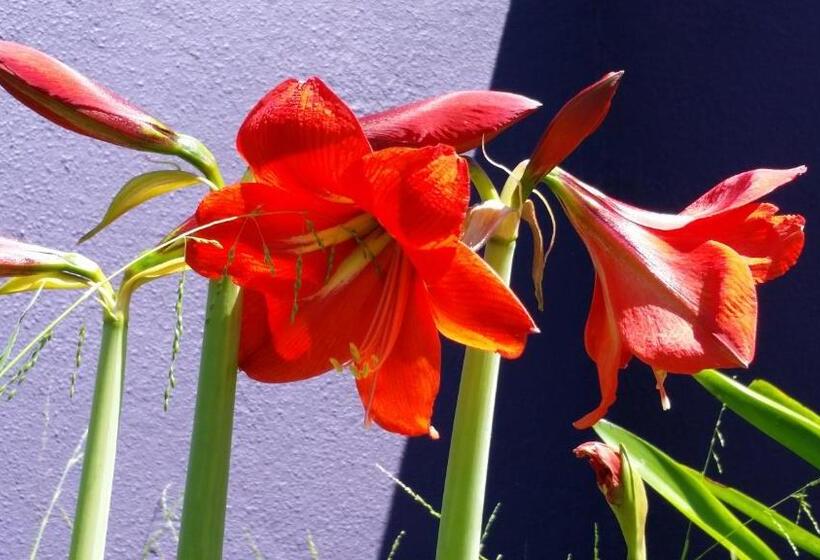 Karuah Gardens Motel