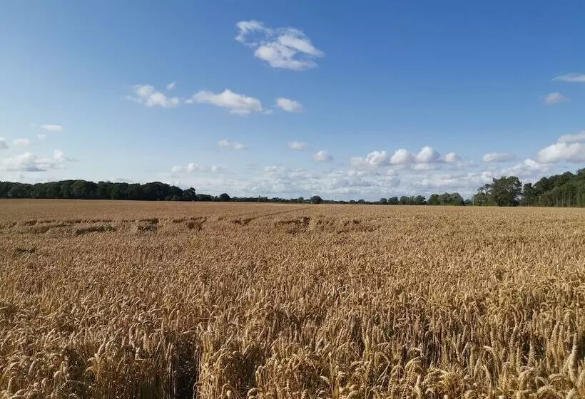 Aamiaismajoitus (B&B) Exelby Green Dragon