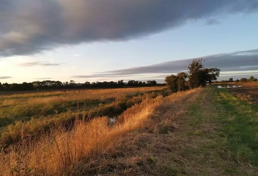 Aamiaismajoitus (B&B) Exelby Green Dragon