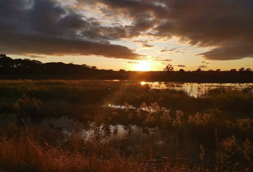 민박 Exelby Green Dragon