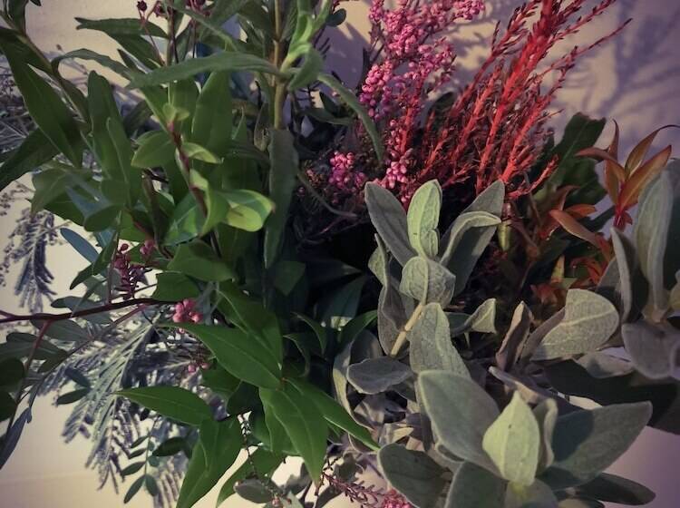 민박 Exelby Green Dragon