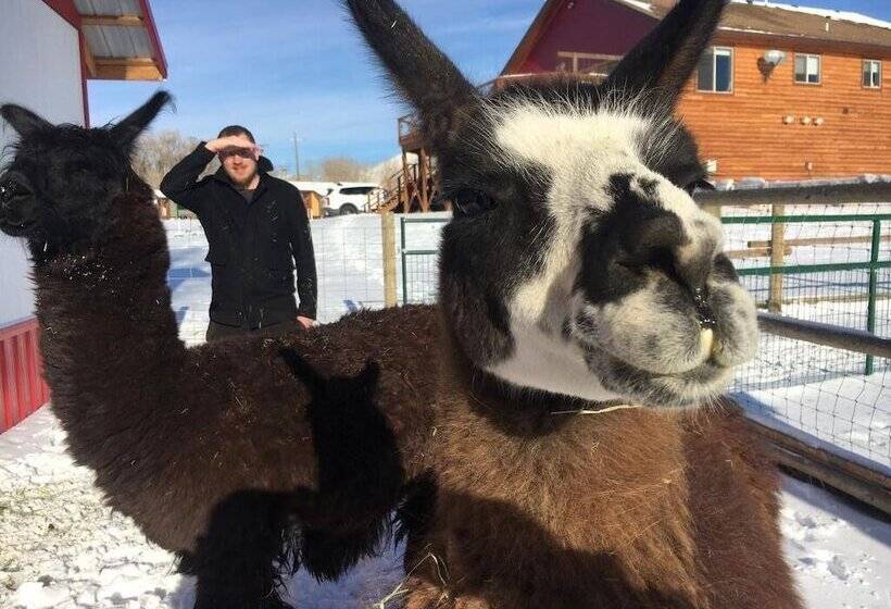 Eycat Lodging Company