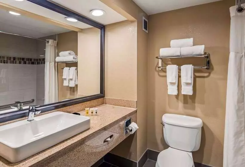 酒店 Best Western Plus Airport Inn & Suites