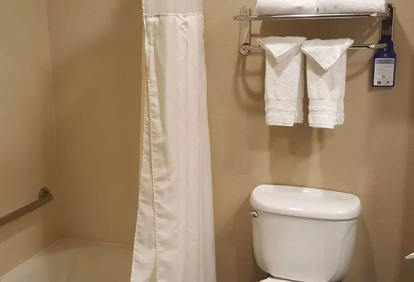 酒店 Best Western Plus Airport Inn & Suites