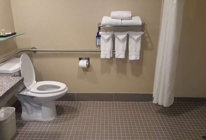 فندق Best Western Plus Airport Inn & Suites