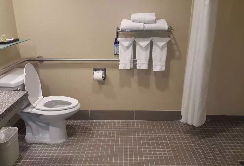 酒店 Best Western Plus Airport Inn & Suites